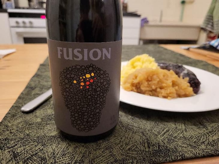 Fusion - No Control - Vincent Marie 