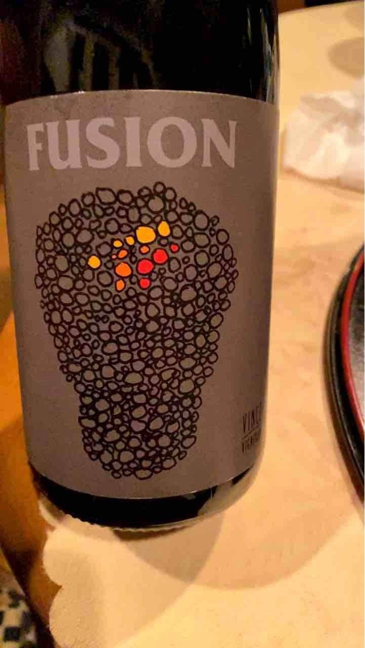 Fusion - No Control - Vincent Marie 
