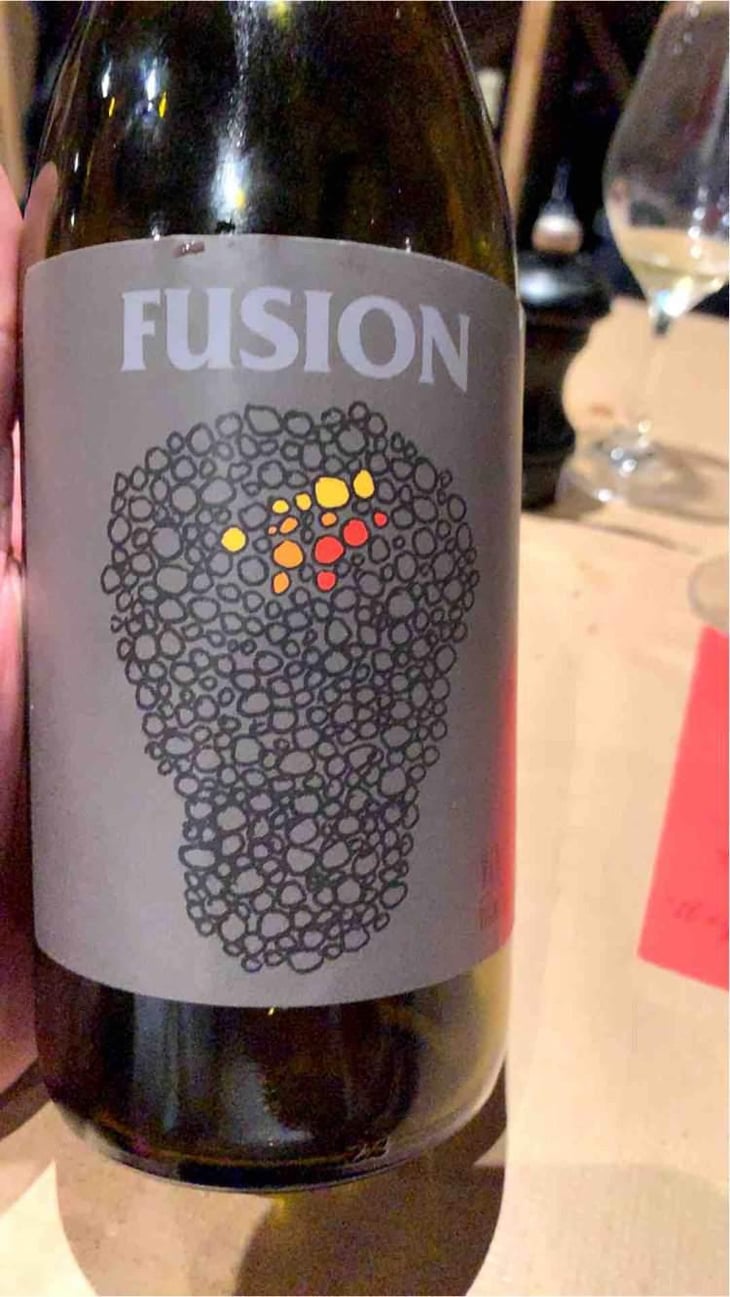 Fusion - No Control - Vincent Marie 