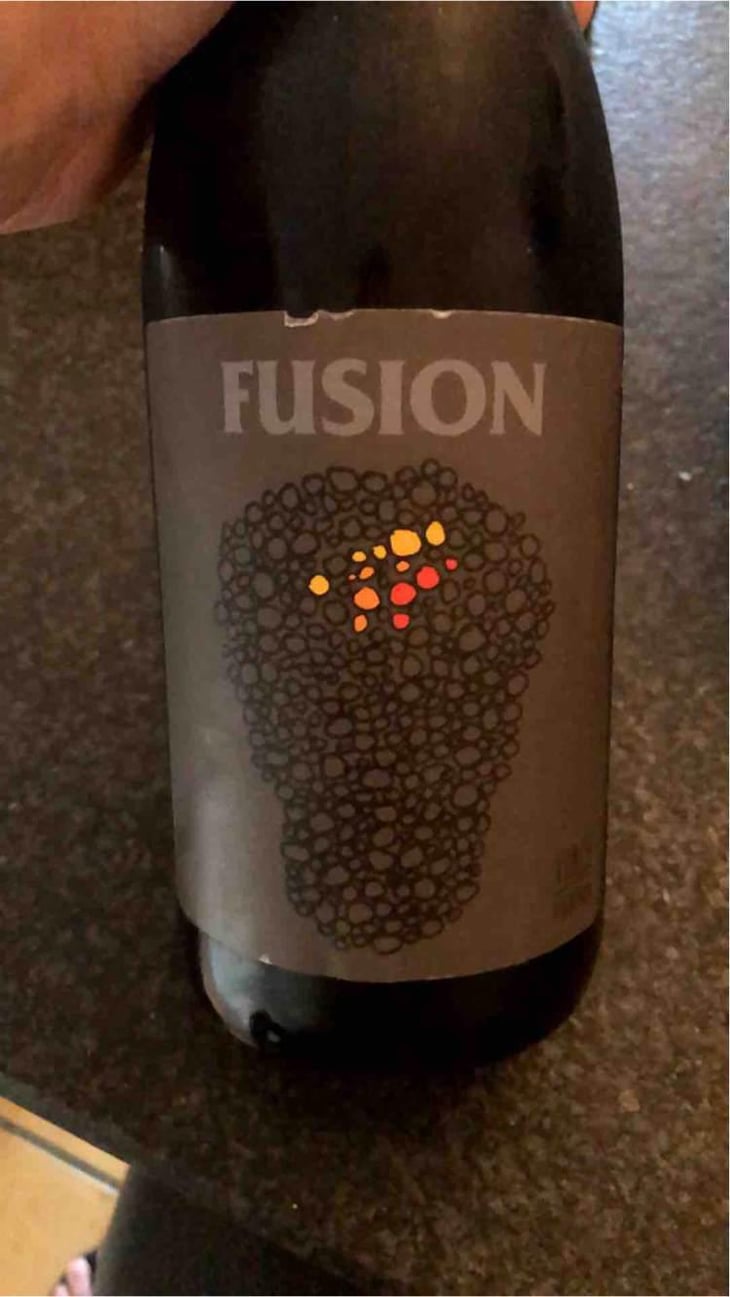 Fusion - No Control - Vincent Marie 