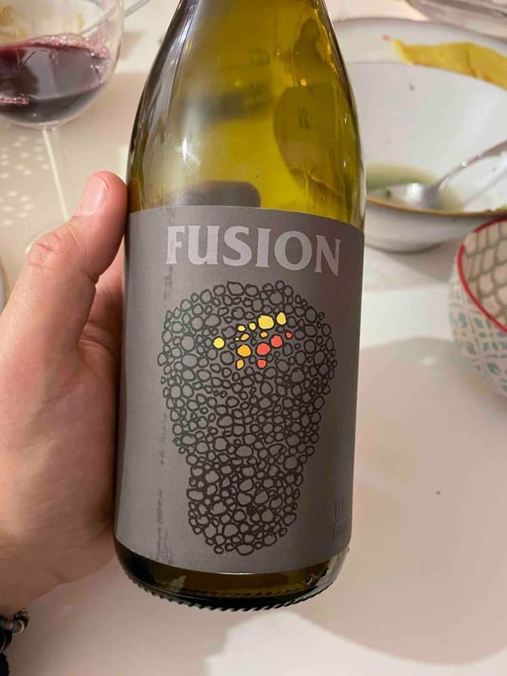 Fusion - No Control - Vincent Marie 
