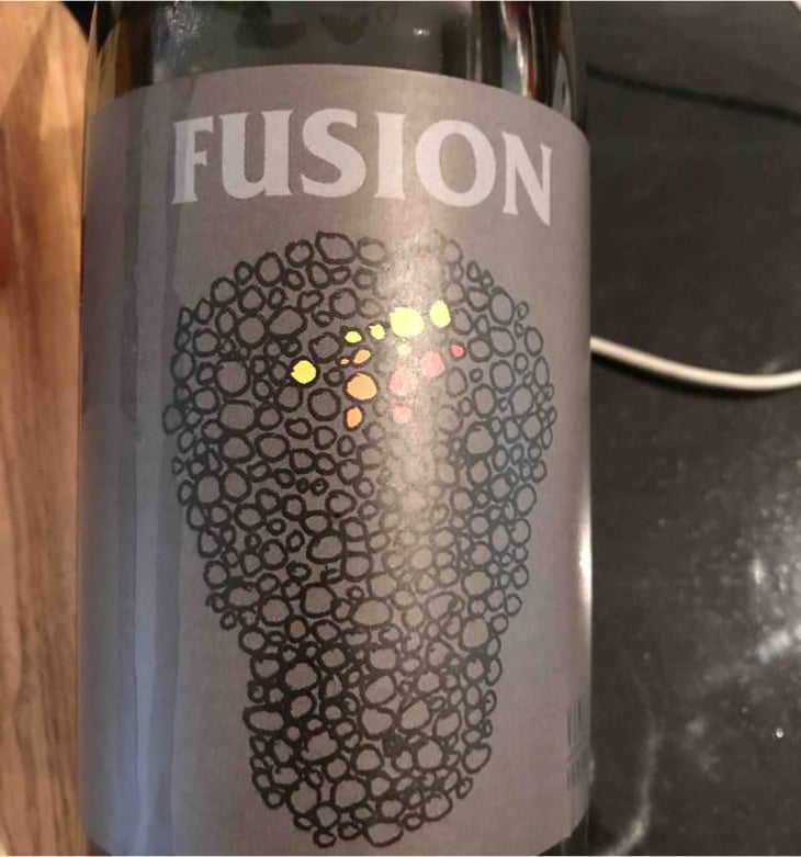 Fusion - No Control - Vincent Marie 