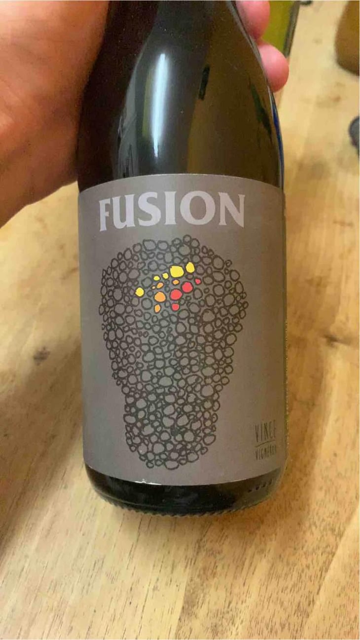 Fusion - No Control - Vincent Marie 