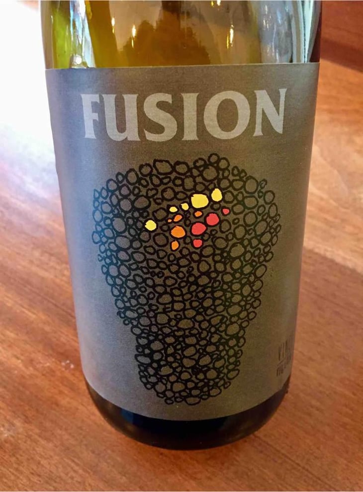 Fusion - No Control - Vincent Marie 