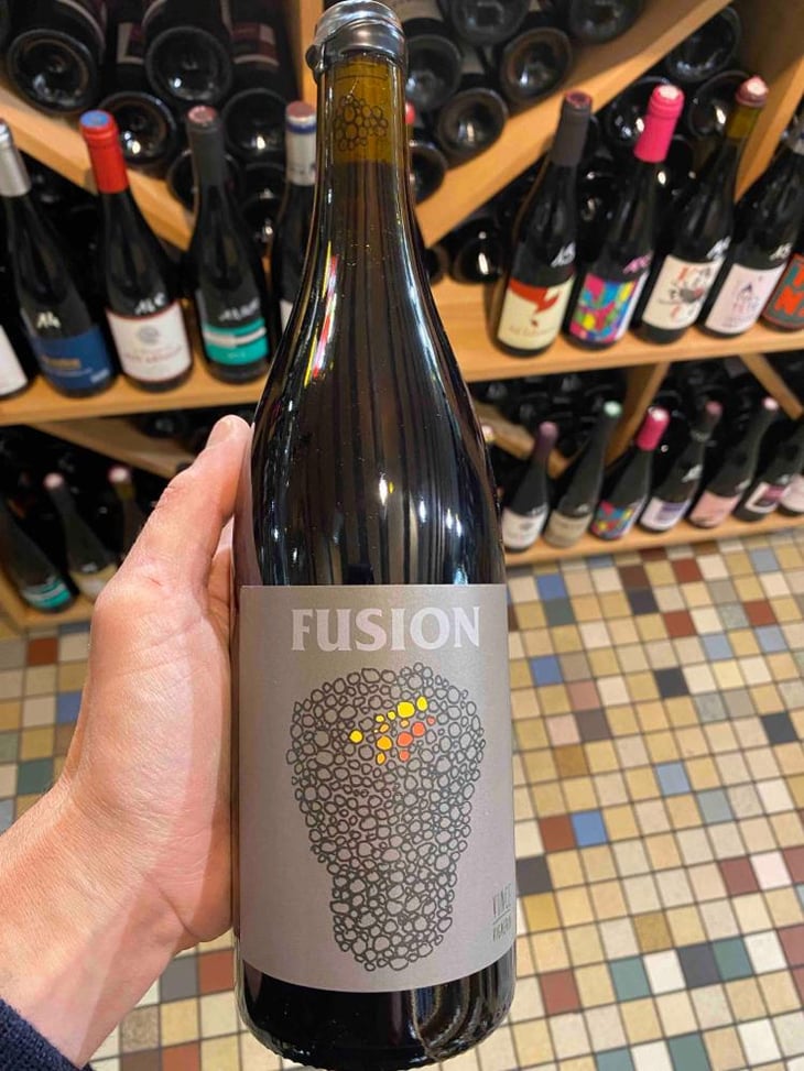 Fusion - No Control - Vincent Marie 