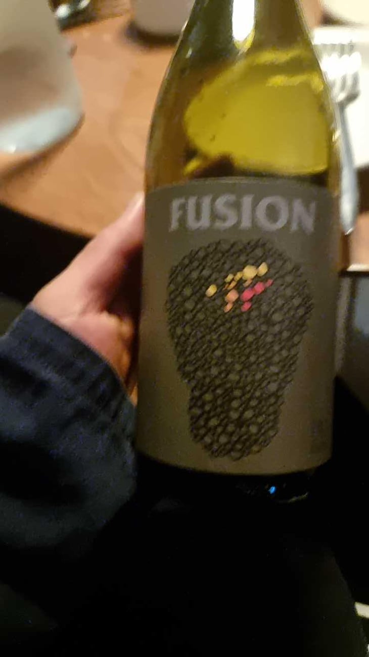 Fusion - No Control - Vincent Marie 