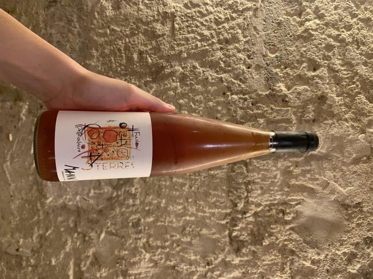 Fusion Pelliculaire - Domaine Mann - Vignoble Des 3 Terres - Sébastien, Jean-Louis & Fabienne Mann -2022