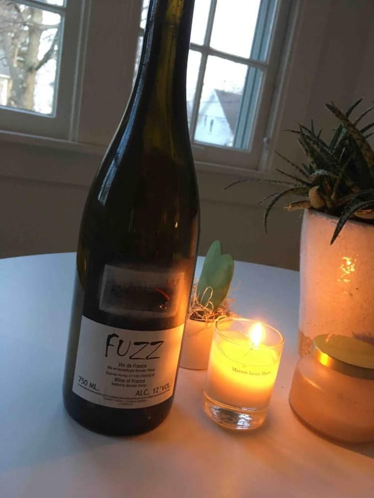 Fuzz - Domaine Le Clocher - Les Vins de Sainte Anne - Brendan & Sean Tracey 