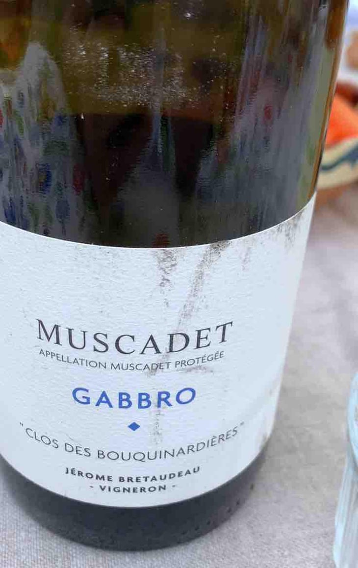 Gabbro - Domaine de Bellevue - Jérôme Bretaudeau 