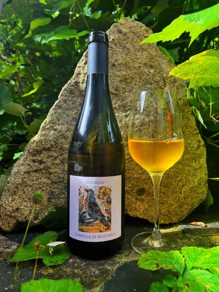 Gag Bleu - Château Boucarut - Saskia & Maurice Goetschy 