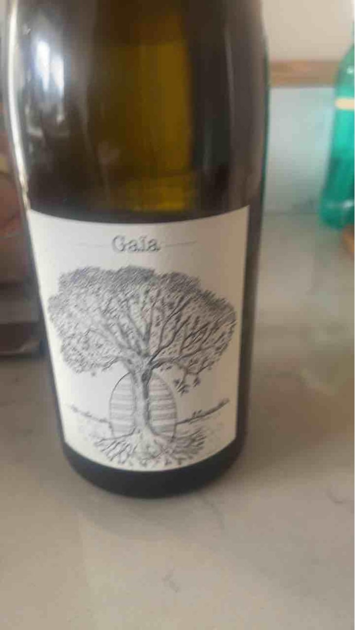 Gaïa - Domaine de Bellevue - Jérôme Bretaudeau 