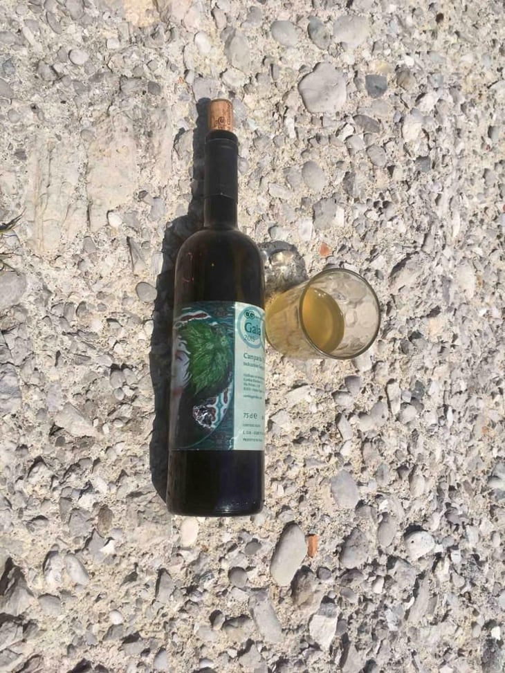 Gaia - Cantina Giardino - Antonio Di Gruttola & Daniela De Gruttola -2019