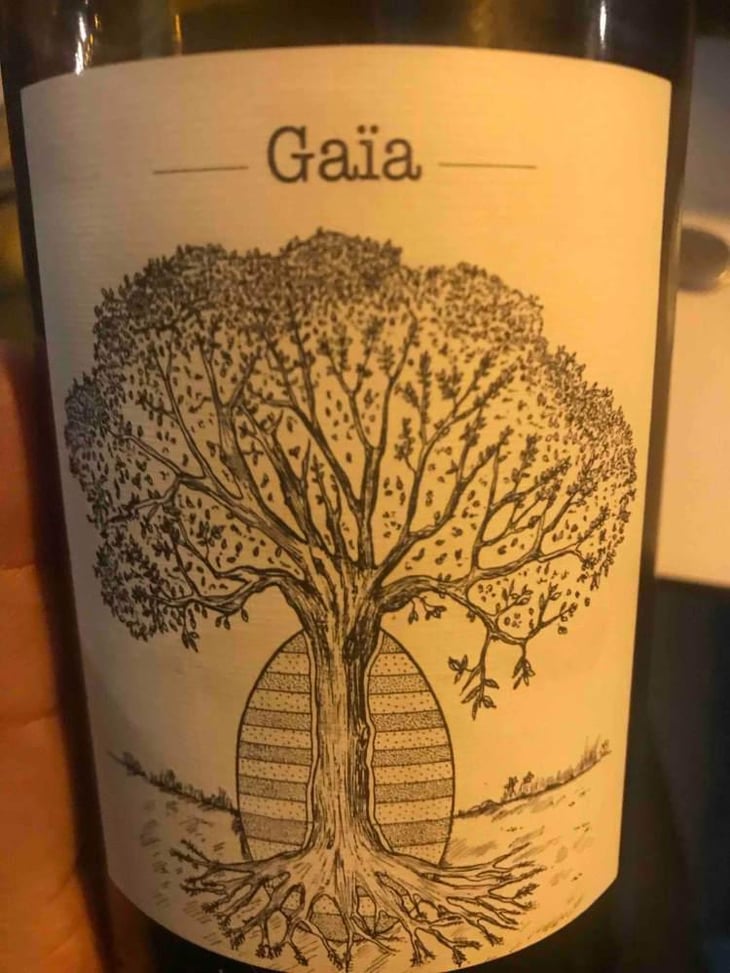 Gaïa - Domaine de Bellevue - Jérôme Bretaudeau 