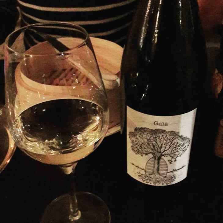 Gaïa - Domaine de Bellevue - Jérôme Bretaudeau 