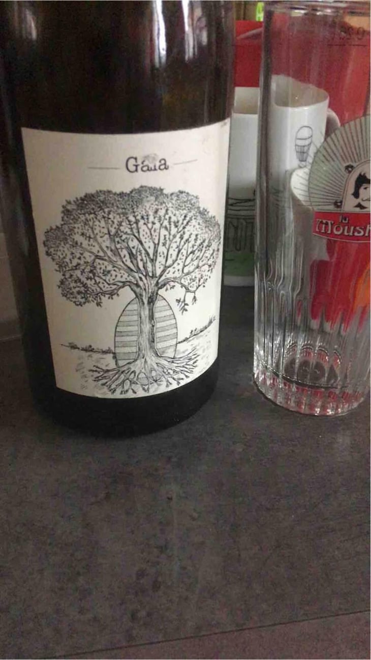 Gaïa - Domaine de Bellevue - Jérôme Bretaudeau 