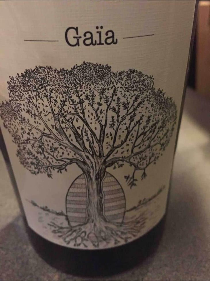 Gaïa - Domaine de Bellevue - Jérôme Bretaudeau 