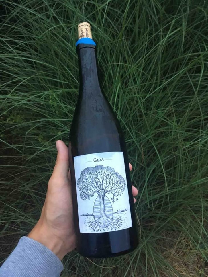 Gaïa - Domaine de Bellevue - Jérôme Bretaudeau 