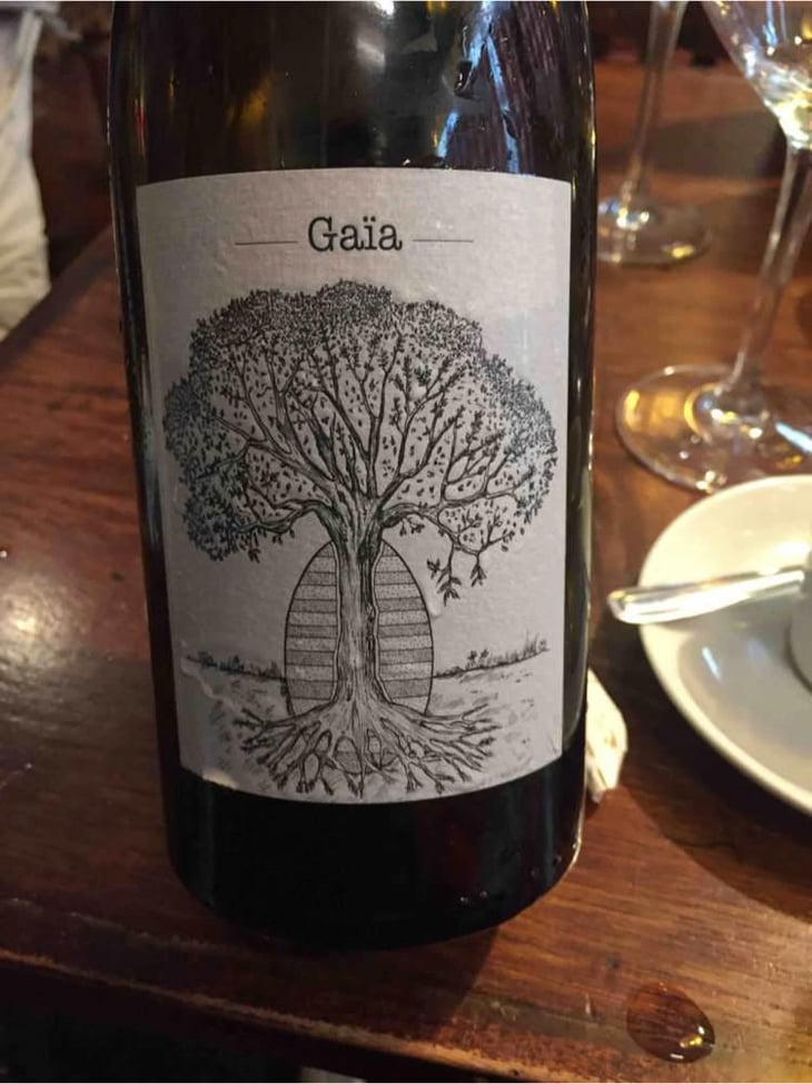 Gaïa - Domaine de Bellevue - Jérôme Bretaudeau 