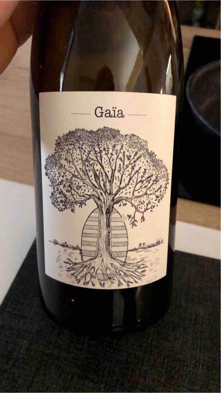 Gaïa - Domaine de Bellevue - Jérôme Bretaudeau 