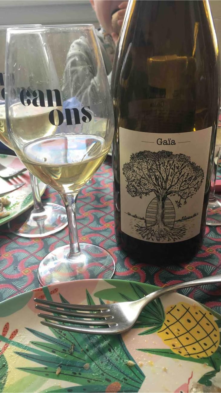 Gaïa - Domaine de Bellevue - Jérôme Bretaudeau 