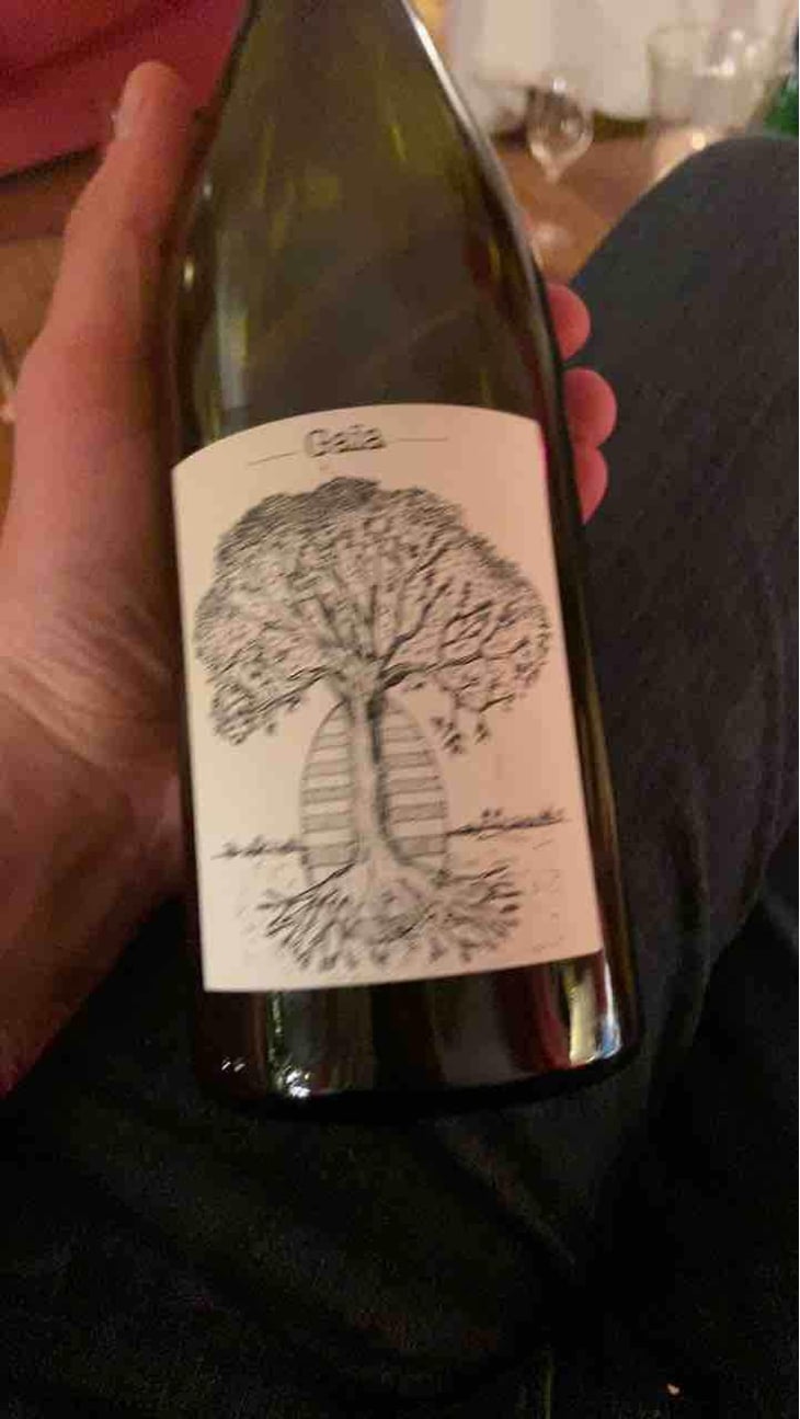 Gaïa - Domaine de Bellevue - Jérôme Bretaudeau 