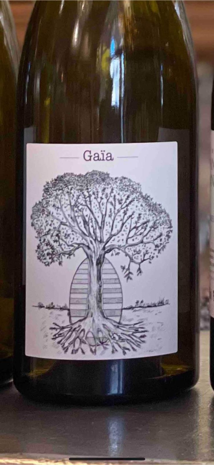 Gaïa - Domaine de Bellevue - Jérôme Bretaudeau 