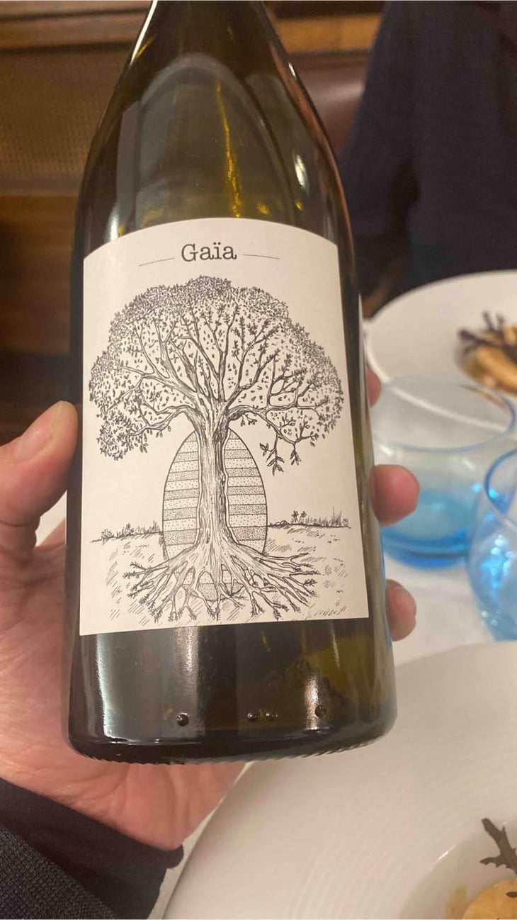 Gaïa - Domaine de Bellevue - Jérôme Bretaudeau 