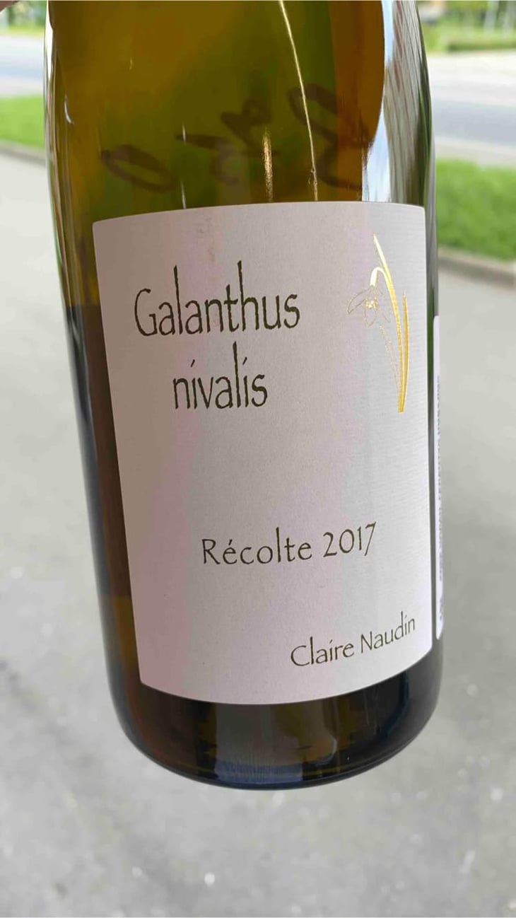Galathus Nivalis - Domaine Henri Naudin-Ferrand - Claire Naudin 