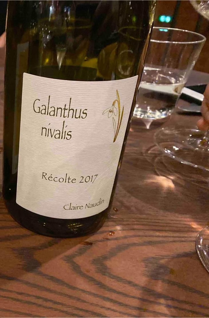 Galathus Nivalis - Domaine Henri Naudin-Ferrand - Claire Naudin 