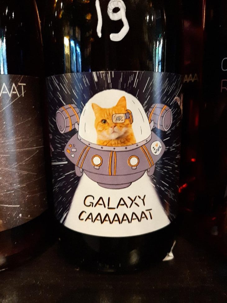 Galaxy Caaaaaaat - French Beaches - Caaaaaaat Collection - Christophe Kaczmarek -2022