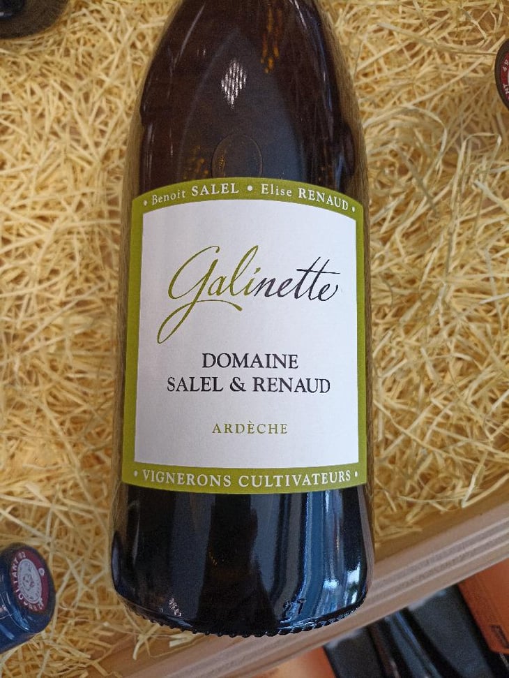 Galinette - Salel Et Renaud - Elise Renaud & Benoit Salel -2022