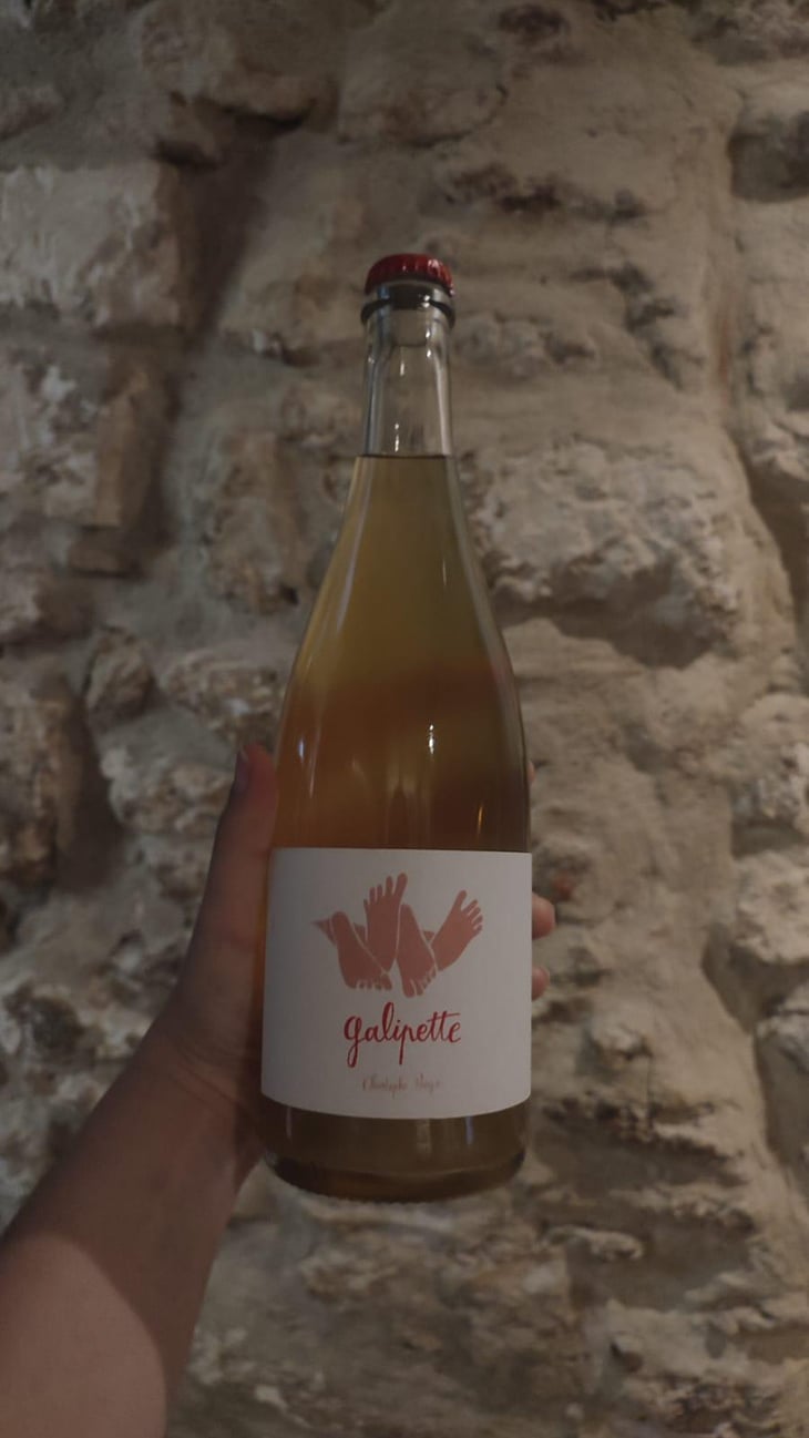 Galipette - Vignobles Pueyo - Christophe Pueyo 