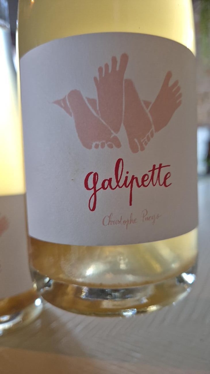Galipette - Vignobles Pueyo - Christophe Pueyo 