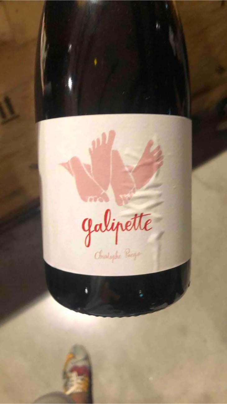 Galipette - Vignobles Pueyo - Christophe Pueyo 