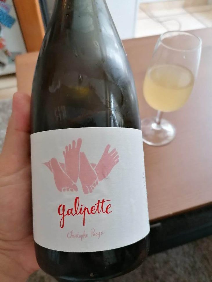 Galipette - Vignobles Pueyo - Christophe Pueyo 