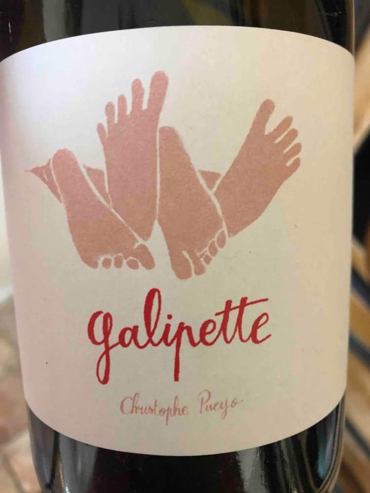 Galipette - Vignobles Pueyo - Christophe Pueyo 