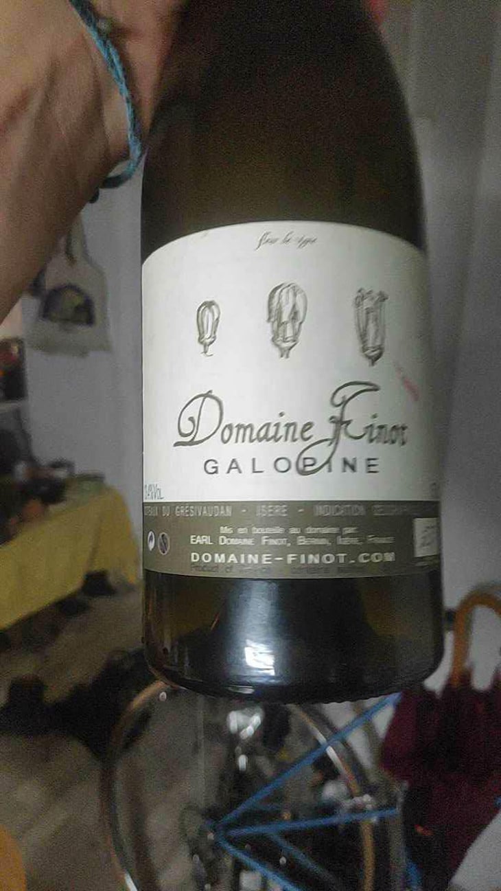 Galopine - Domaine Finot - Thomas Finot 