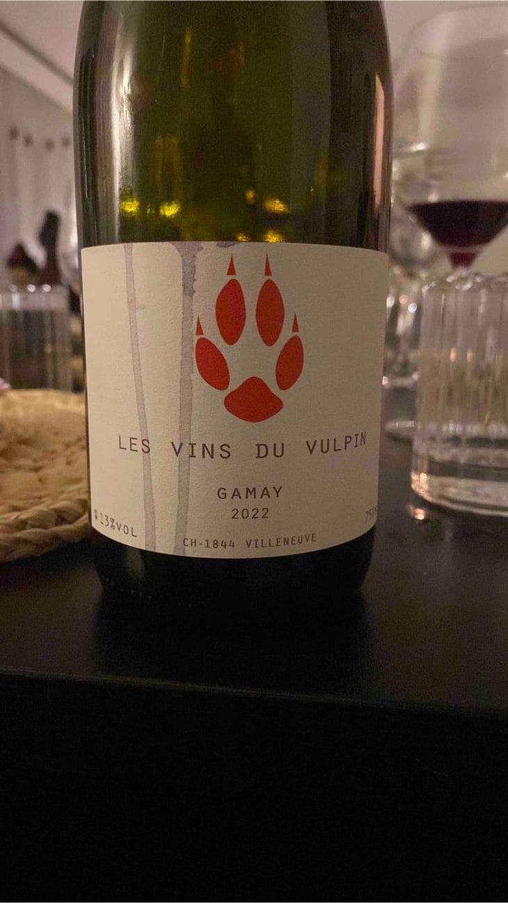 Gamay - Maison Vulpin - Jordi Renard 