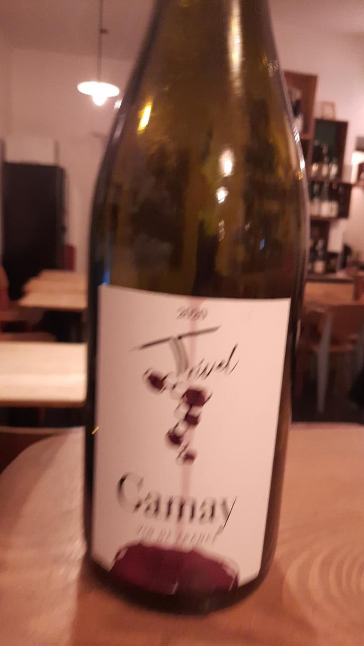 Gamay - Domaine de Trivel - Sidonie Joggerst & Thomas Guillon 