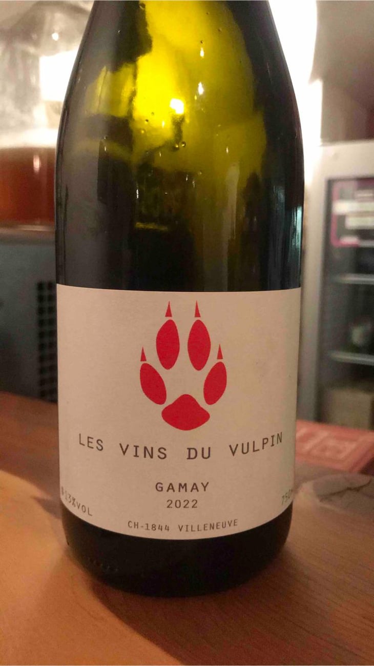 Gamay - Maison Vulpin - Jordi Renard 