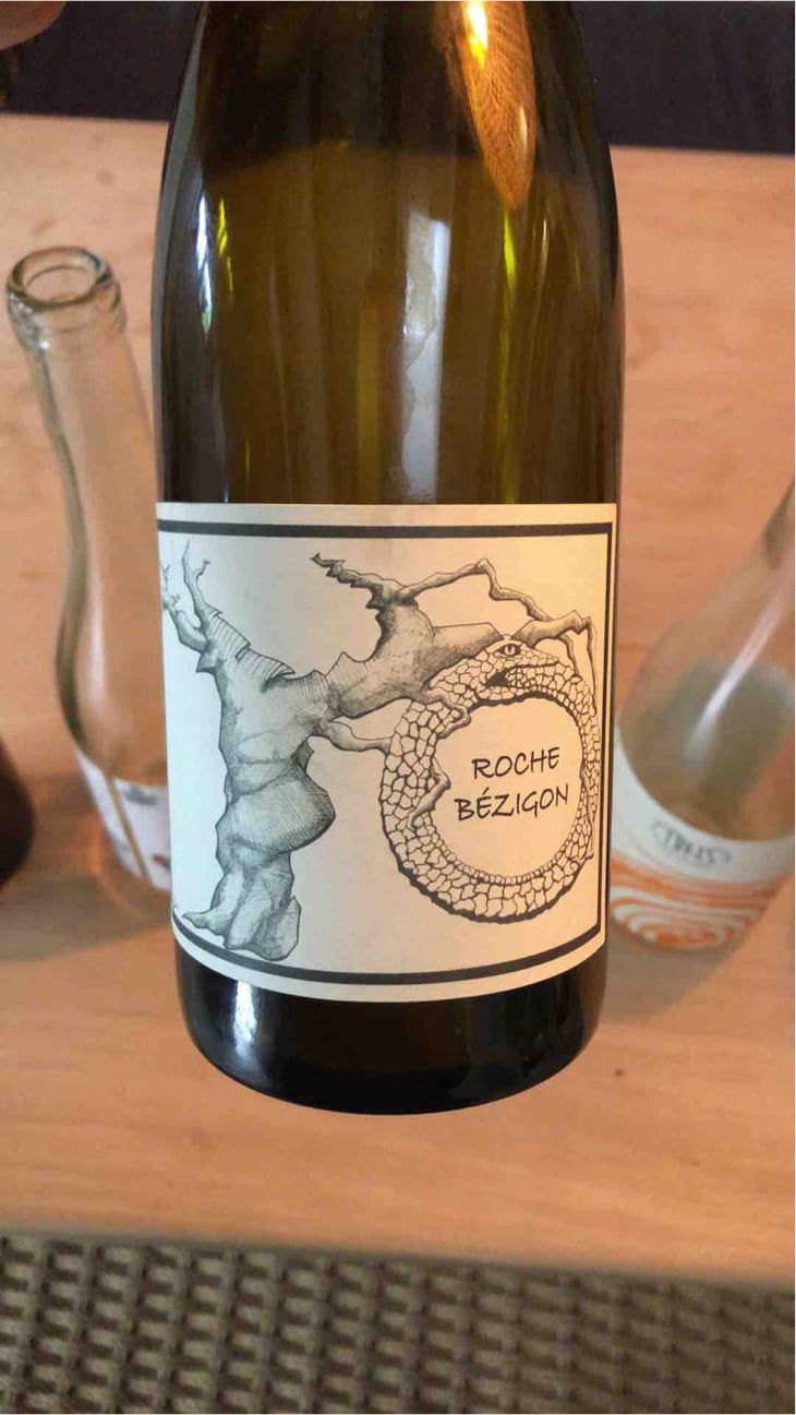 Gamay Aunis - Jean-Christophe Garnier - Jean-Christophe Garnier 