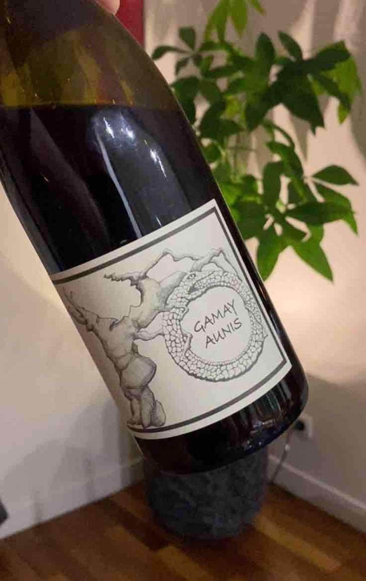 Gamay Aunis - Jean-Christophe Garnier - Jean-Christophe Garnier 