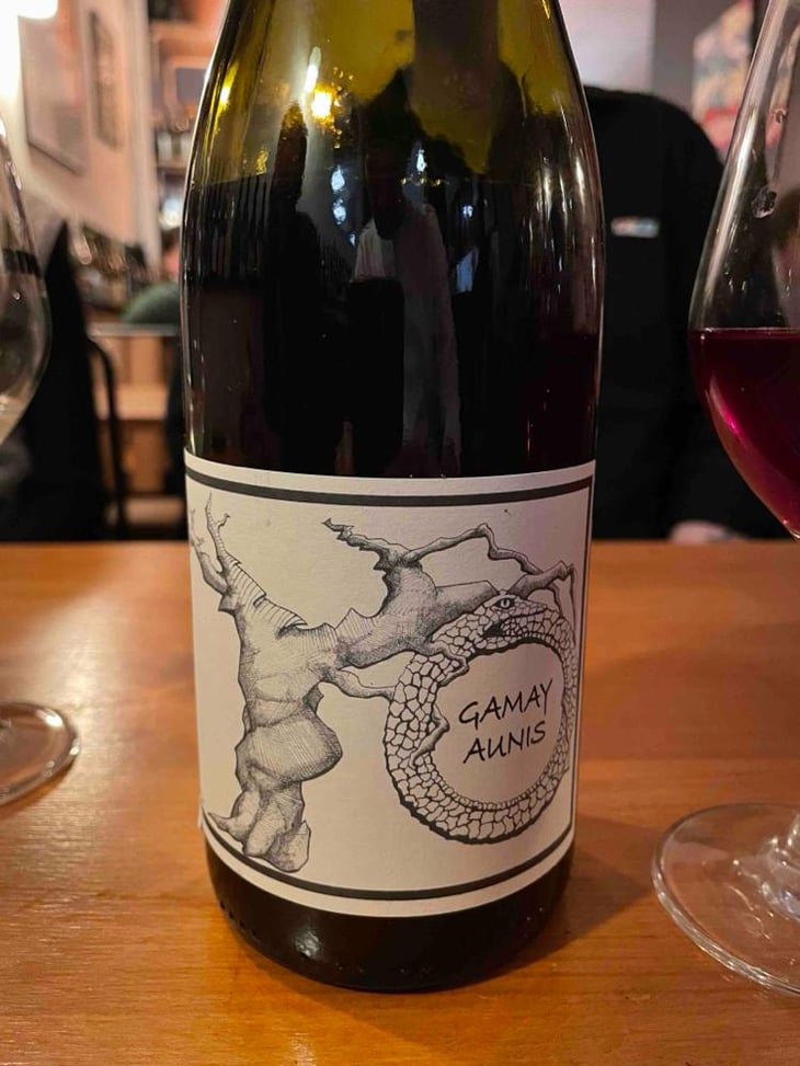 Gamay Aunis - Jean-Christophe Garnier - Jean-Christophe Garnier 
