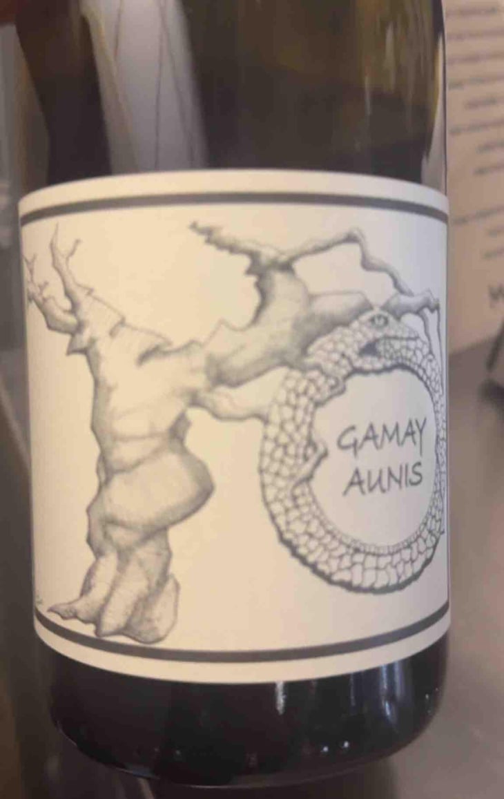Gamay Aunis - Jean-Christophe Garnier - Jean-Christophe Garnier 