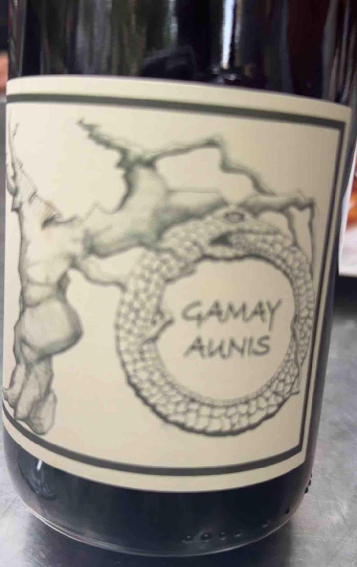 Gamay Aunis - Jean-Christophe Garnier - Jean-Christophe Garnier 
