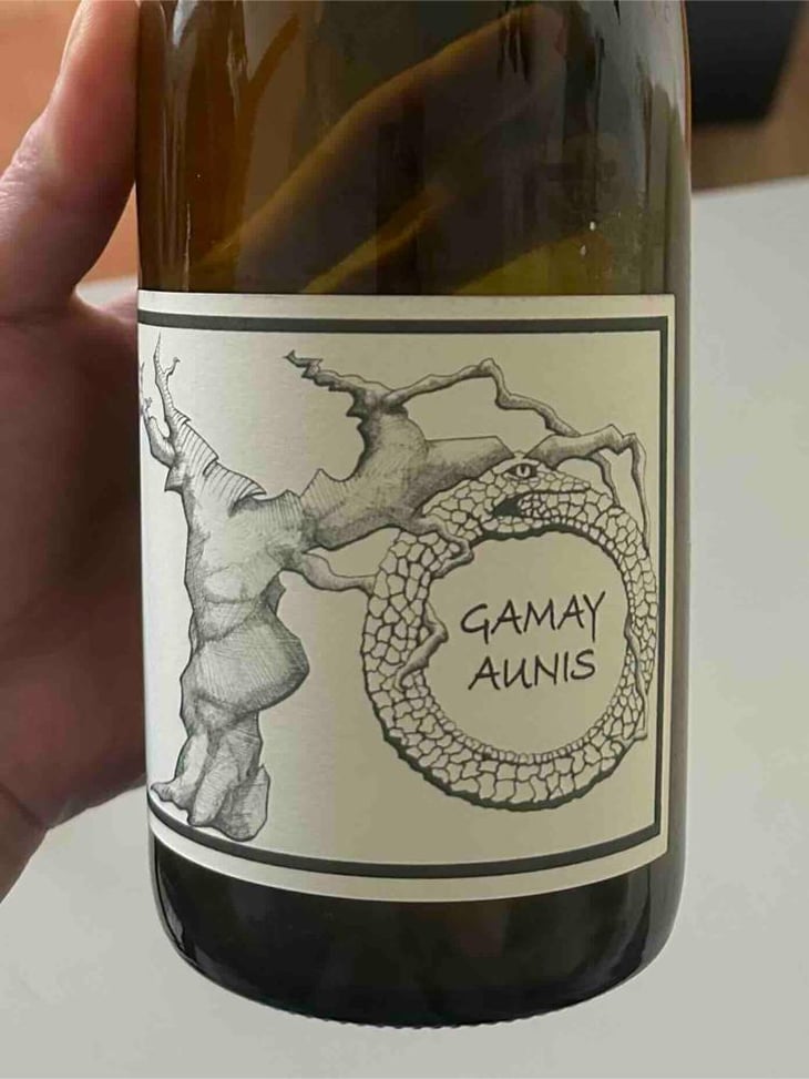Gamay Aunis - Jean-Christophe Garnier - Jean-Christophe Garnier 