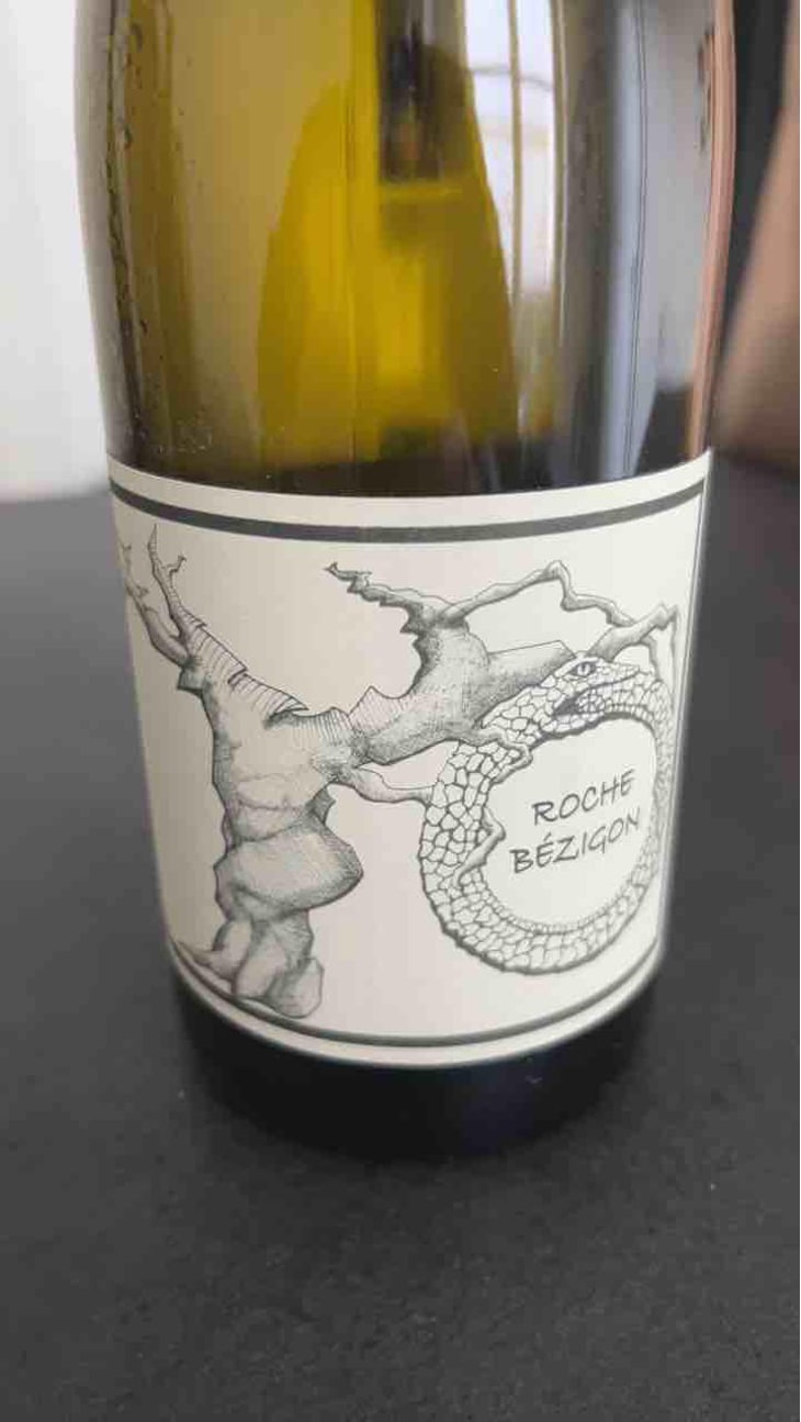 Gamay Aunis - Jean-Christophe Garnier - Jean-Christophe Garnier 