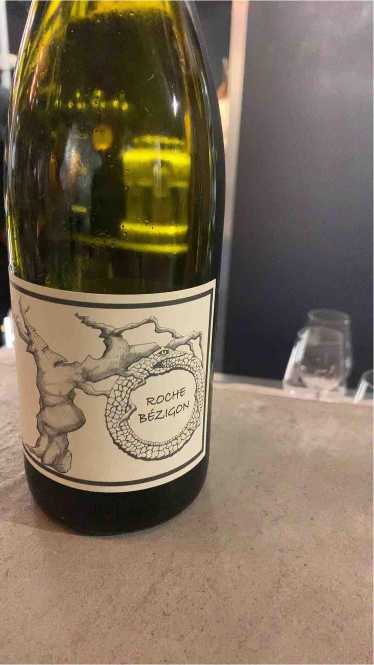 Gamay Aunis - Jean-Christophe Garnier - Jean-Christophe Garnier 
