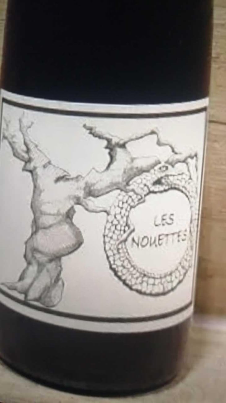 Gamay Aunis - Jean-Christophe Garnier - Jean-Christophe Garnier 