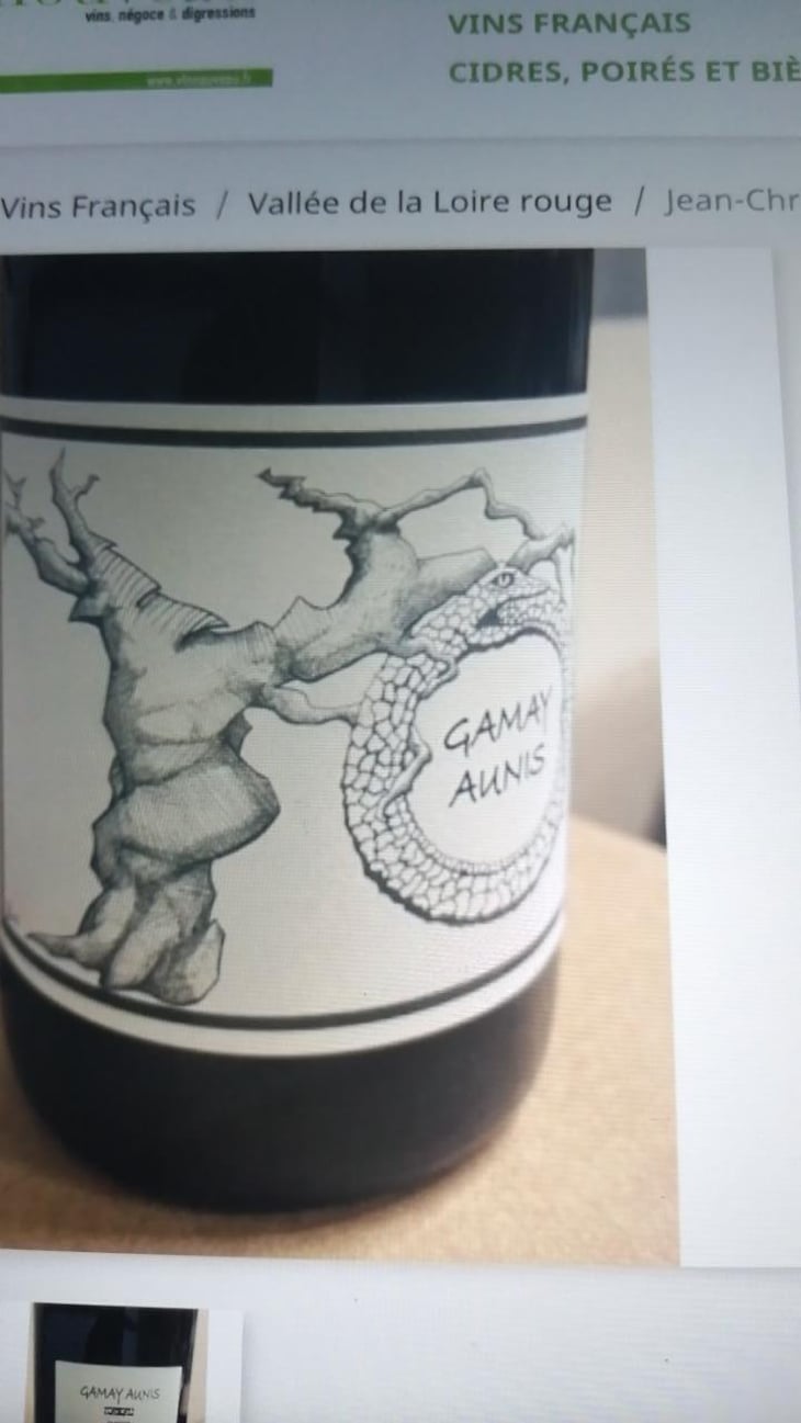 Gamay Aunis - Jean-Christophe Garnier - Jean-Christophe Garnier 